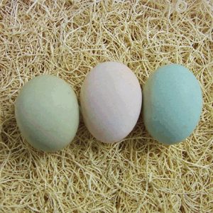 Easter Egger