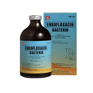 Bacterid