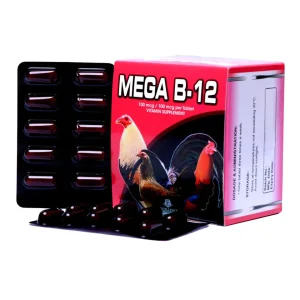 Mega B12