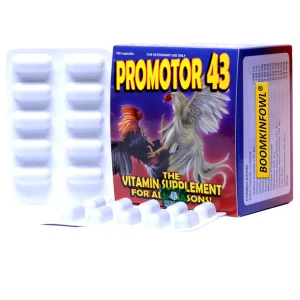Promotor 43
